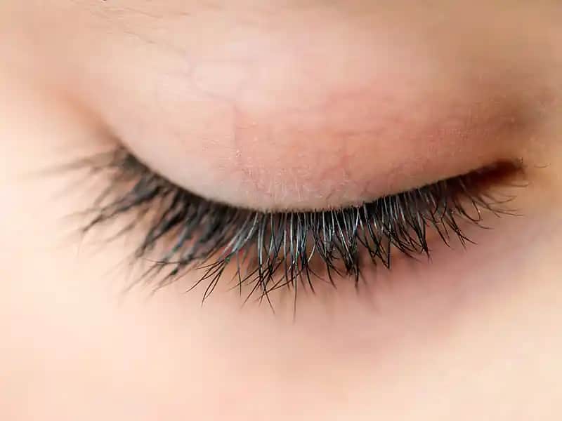 Kirpiklere Hangi Yağlar İyi Gelir Doğal ve Etkili Bakım İpuçları Rehberi