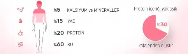 Kolajen Nerede Bulunur ve Sağlık ile Güzellik İçin En Güvenilir Kaynaklar