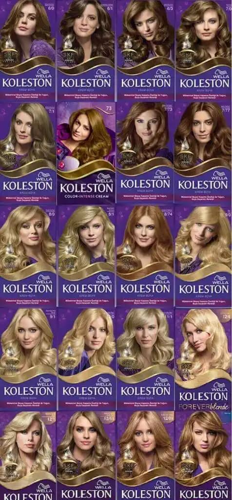 2025'te Koleston Tüp Boya Renkleriyle Saçınızda Devrim Yaratın