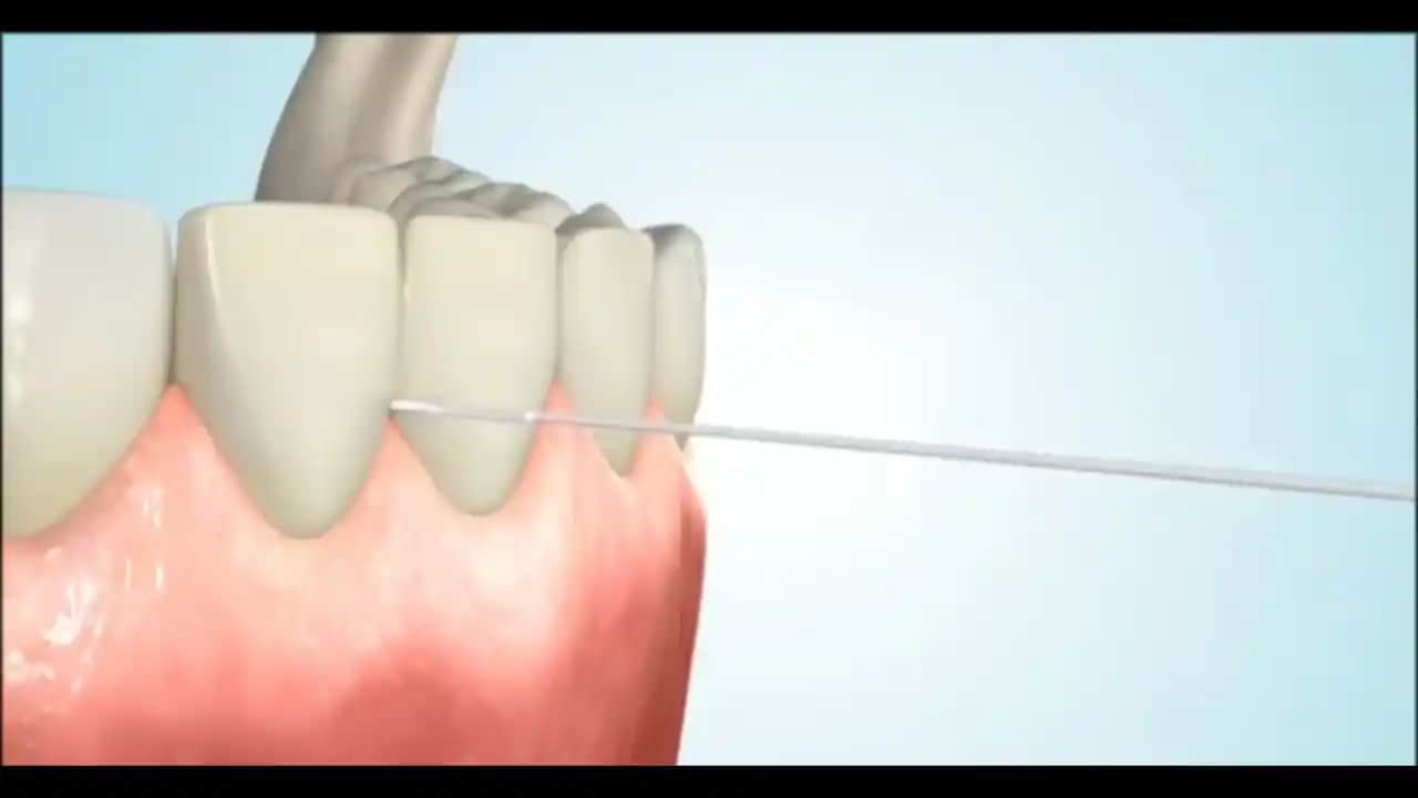 Köprü Altı Diş İpi Kullanımı ve Ağız Sağlığını Koruma Yöntemleri