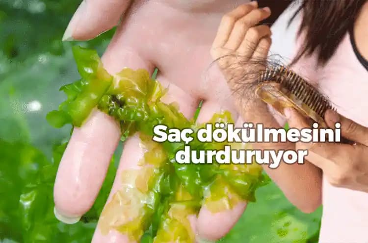 2025'te Koreli Kadınların Saç Bakımında 7 Şaşırtıcı Sırla Parlak Saçlar