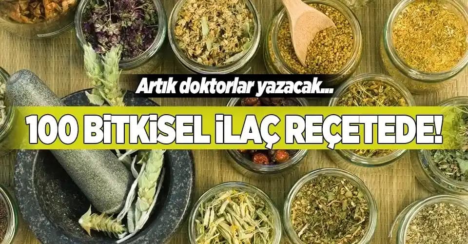 Kozmetik Alanında Bitkisel İlaçlar: Doğal Güzellik ve Sağlık Kaynaklarının Kullanımı