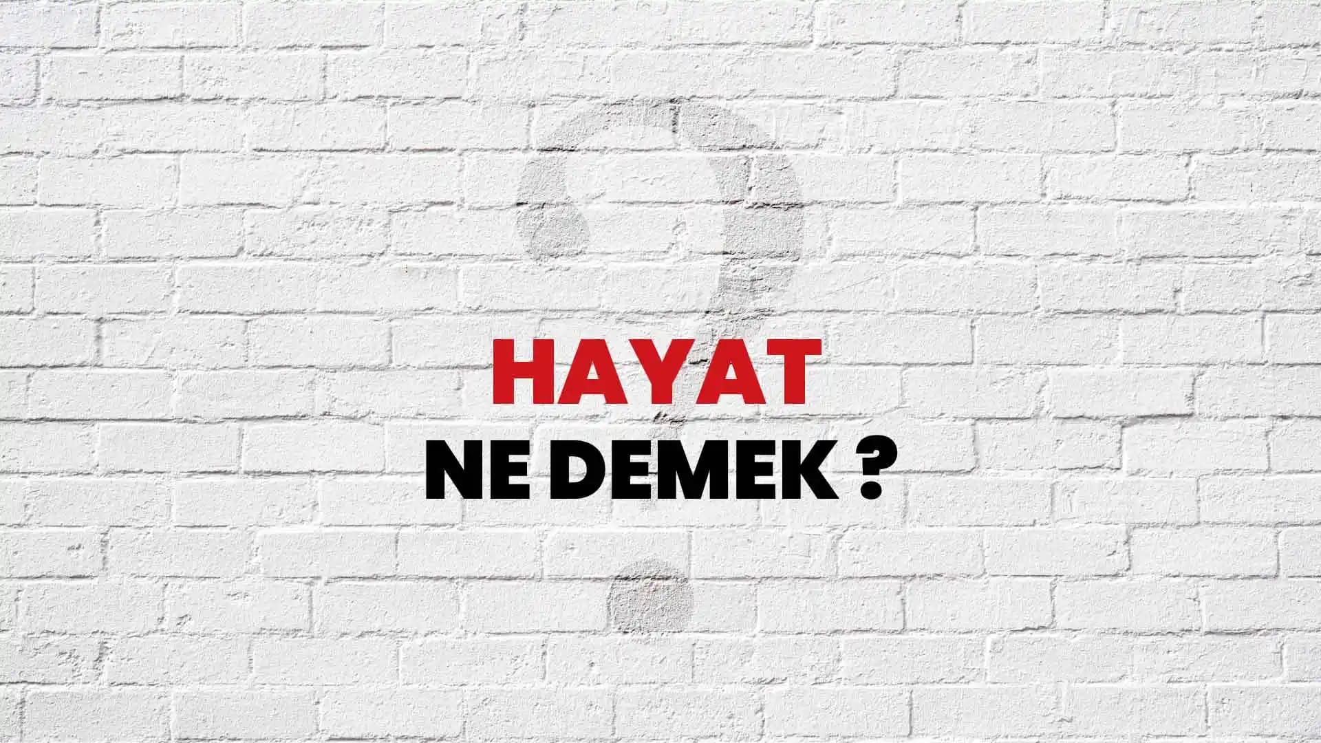 Kozmetik Dünyasında Parlaklık ve Işıltı Sağlayan Haylaytırın Kullanım Yöntemleri ve Trendleri