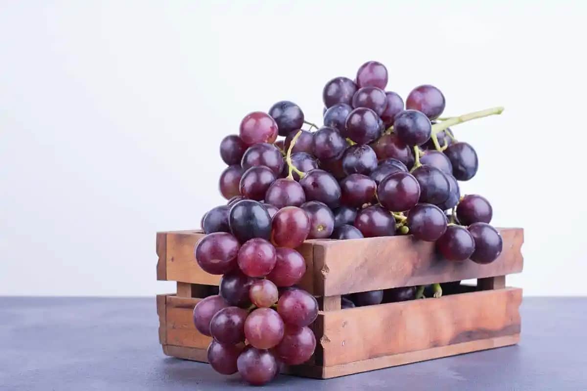 Krom Nedir ve Hangi Besinlerde Bulunur? Sağlıklı Diyet İçin Kromun Önemi