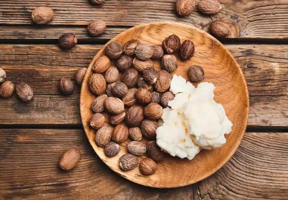 Shea Yağı Nedir, Faydaları ve Doğal Güzellikteki Rolü Hakkında Bilgiler