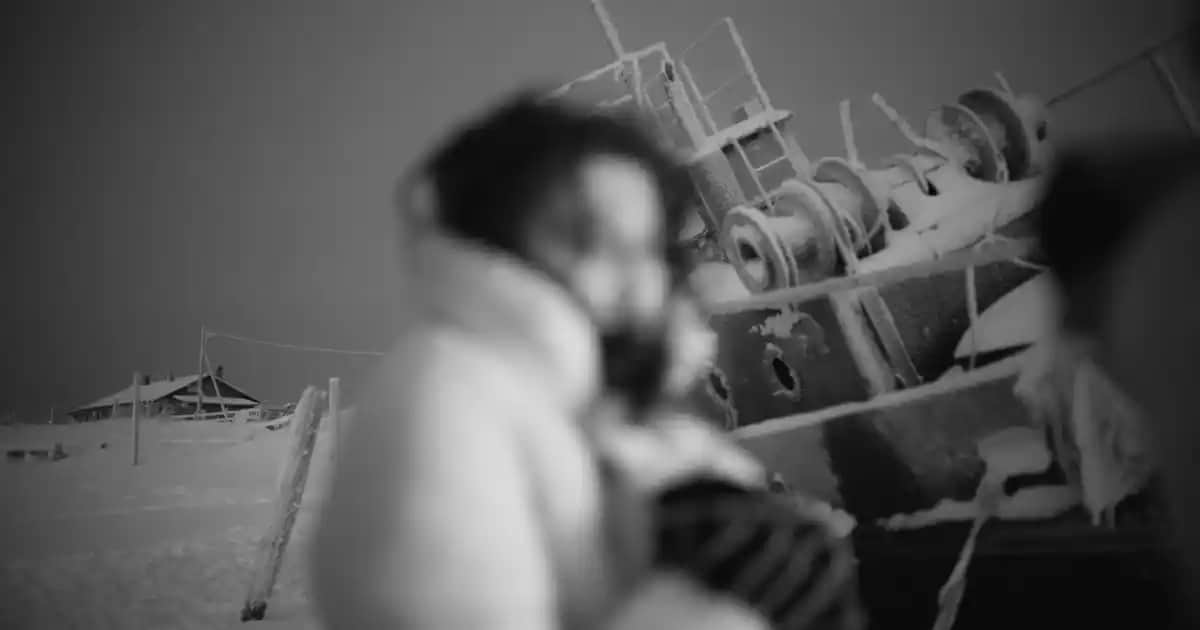 Balık Yağı ve Omega-3: Güzellik ve Sağlık İçin Etkili Takviye Seçenekleri