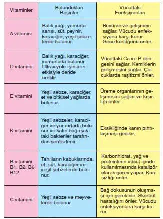 Cilt ve Saç Sağlığı İçin En Önemli Vitaminler ve İsimleri Listesi