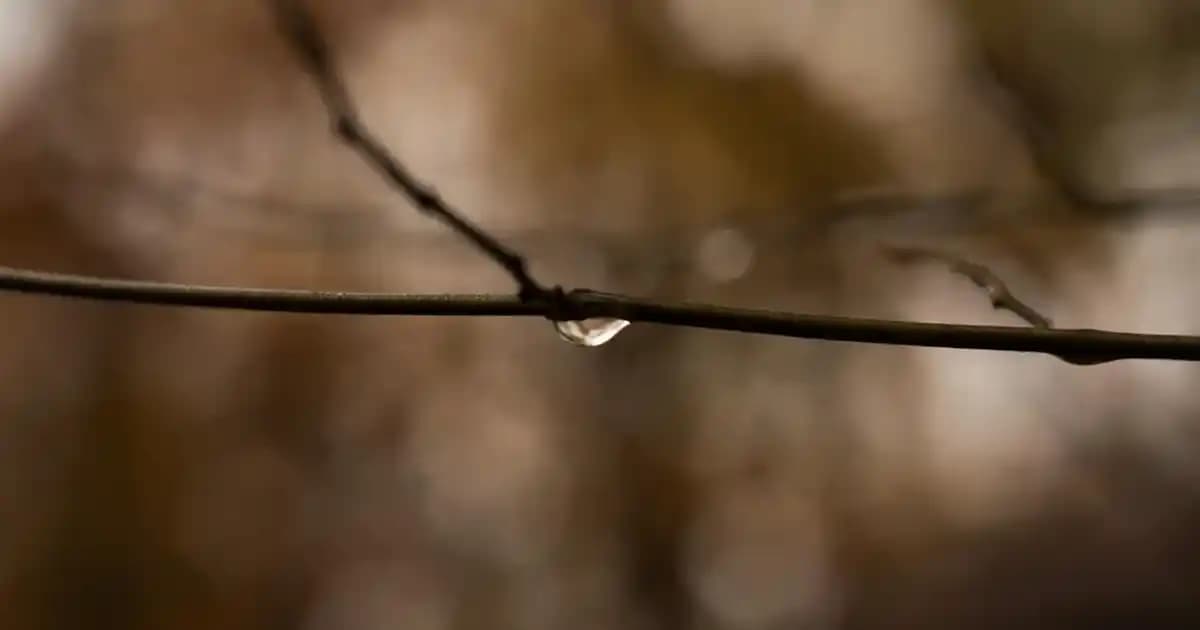 Dudak Rujları ve Renk Seçimi: Güzelliğin ve Kendine Güvenin Anahtarı