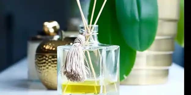 Evde Ferah ve Şık Bir Atmosfer Yaratmak İçin Oda Kokusu Tavsiyeleri ve En İyi Seçenekler
