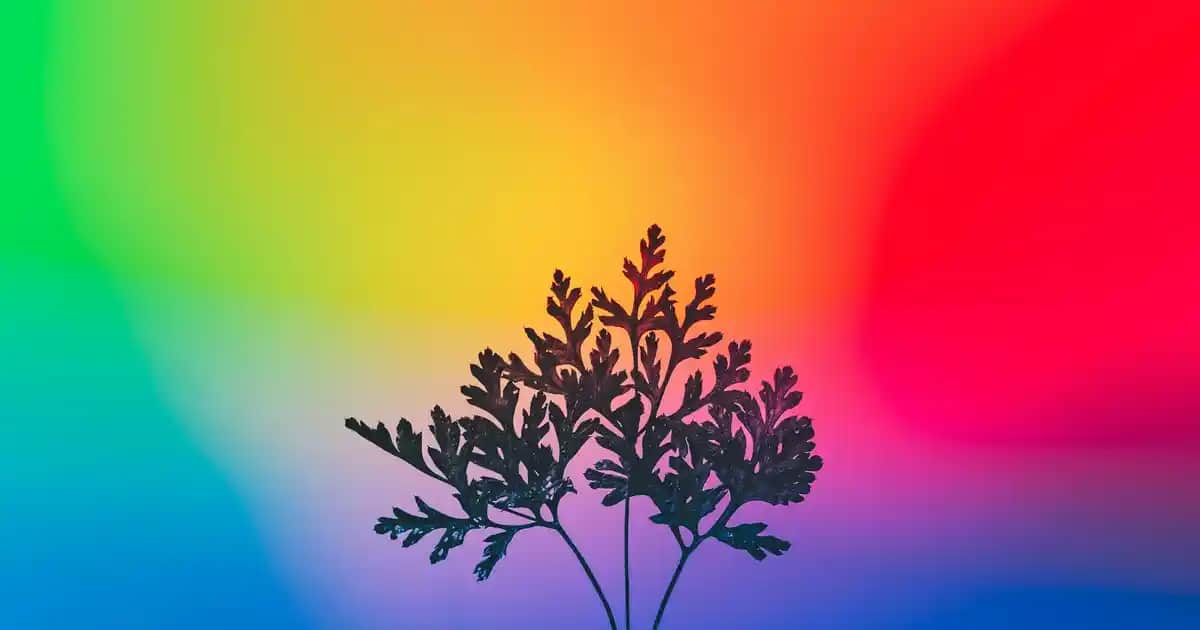 Hassas Ciltler İçin La Roche Güneş Kremi: Güvenli ve Etkili Güneş Koruma Çözümü