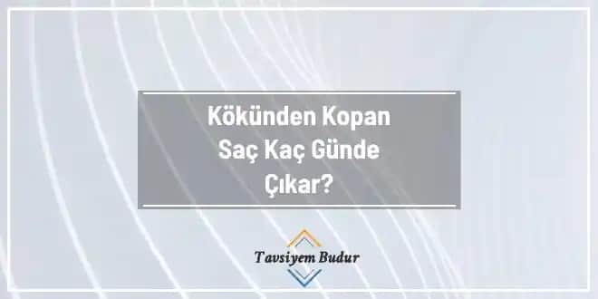 Kökünden Alınan Kılların Yeniden Çıkma Süresi ve Etkileyen Faktörler