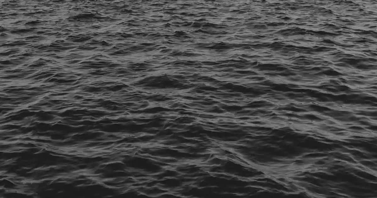 Kozmetik ve Kişisel Bakımda Takviye Edici Gıdaların Rolü ve Kullanım İpuçları