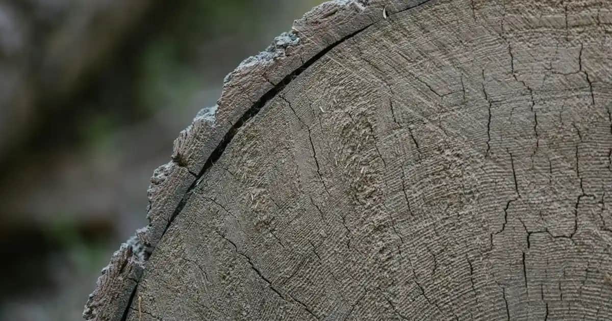 L’Oreal Men’s Expert Deodorant ile Günlük Bakımda Etkili Koruma ve Ferahlık Sağlayın