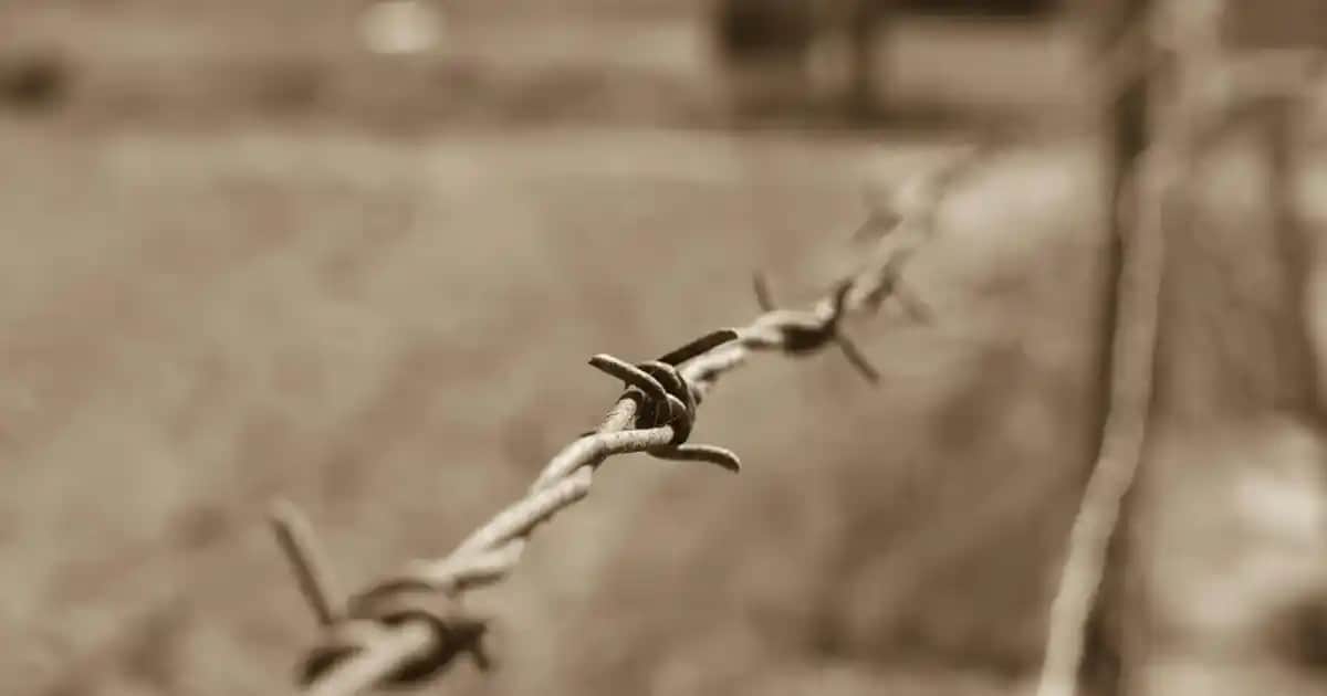 Maybelline Plump Gloss ile Dolgun ve Parlak Dudaklar Elde Etmenin Yolları