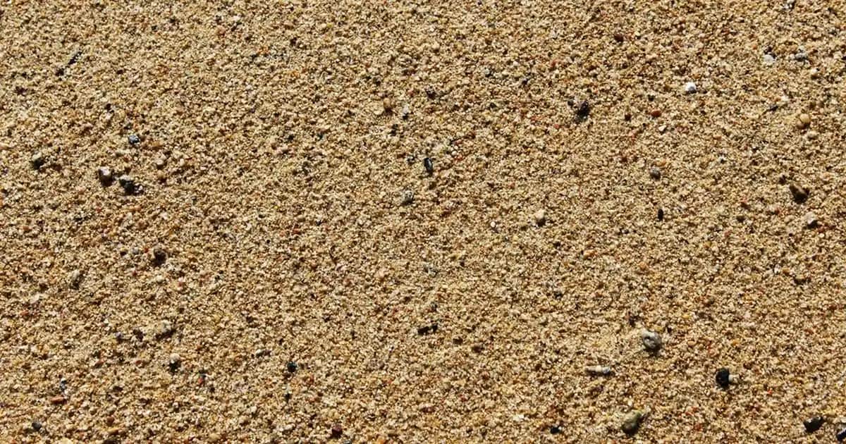 Missha Yüz Güneş Kremi: Cilt Koruma ve Bakımda Güvenilir Seçenekler