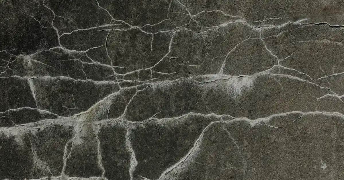 Multi B Vitamini Takviyeleri ile Güzellik ve Sağlığı Destekleyen Kompleks Rehberi