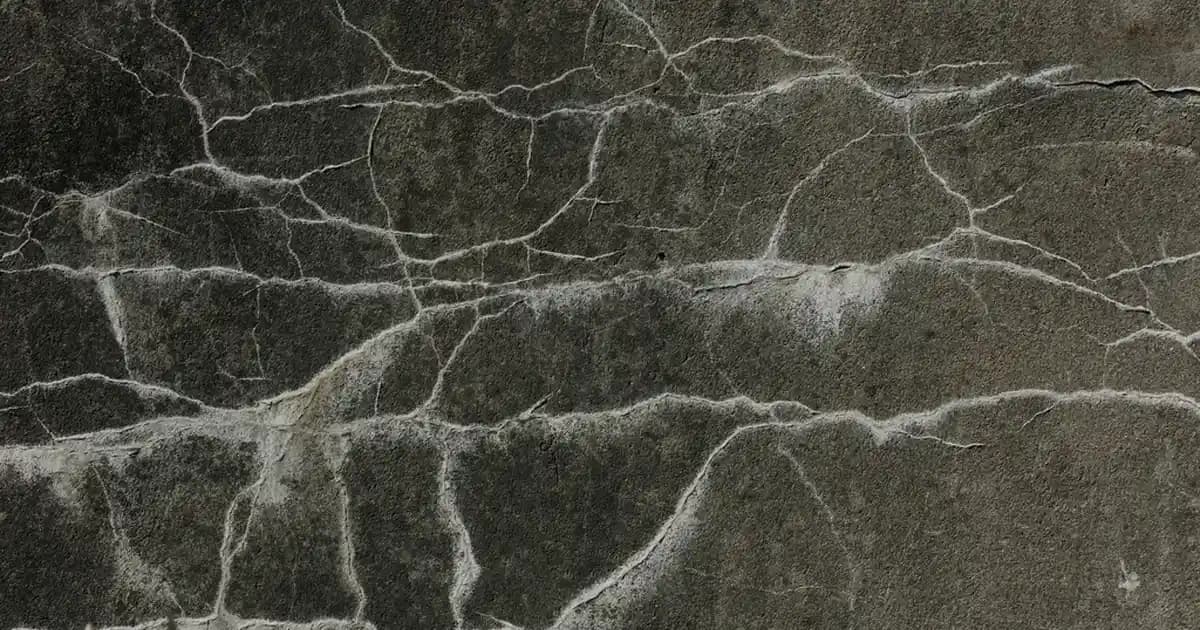 Multi B Vitamini Takviyeleri ile Güzellik ve Sağlığı Destekleyen Kompleks Rehberi