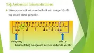 N-3 Yağ Asitleri ve Kozmetik Ürünlerdeki Rolü: Doğal Cilt Bakımında Etkili Kullanım