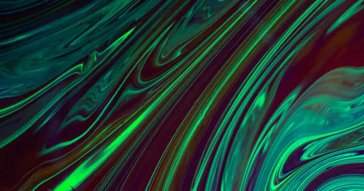 Nature's Omega 3: Doğal Kaynaklarla Güzellik ve Sağlık İçin En İyi Takviye Seçenekleri