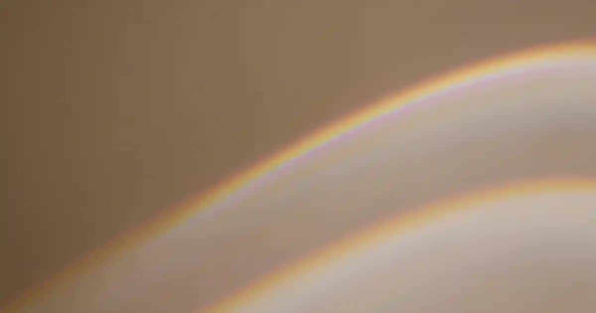 Neutracy Markası ve Doğal Kozmetik Ürünleri Hakkında Güncel Bilgiler