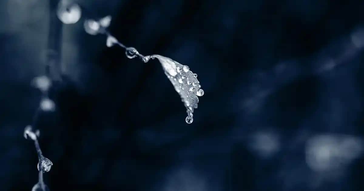 New Life B12 Methyl Plus ile Enerji ve Sağlığı Destekleyen Takviye Ürünleri Rehberi