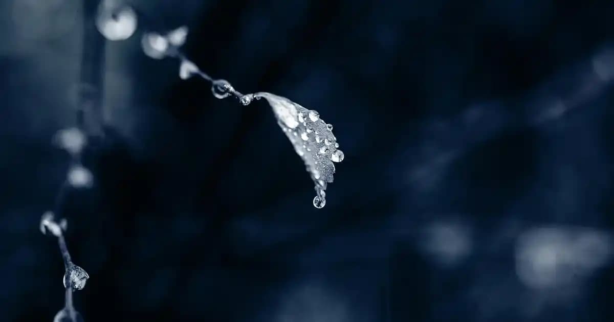 New Life B12 Methyl Plus ile Enerji ve Sağlığı Destekleyen Takviye Ürünleri Rehberi