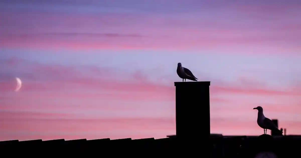 Ocean Biotin 5000 mcg ile Saç, Cilt ve Tırnak Sağlığını Güçlendiren Takviye Ürünü