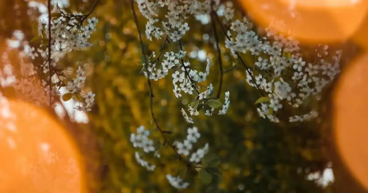 Ocean Extra Mag ile Doğal Mineraller ve Modern Teknolojilerle Güzellik ve Bakım Çözümleri