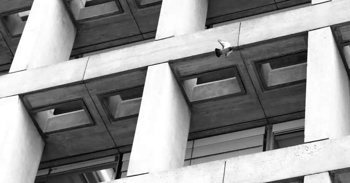 OmegaSkinLab: Doğal İçeriklerle Güçlendirilmiş Cilt Bakım Çözümleri ve Yenilikçi Teknolojiler