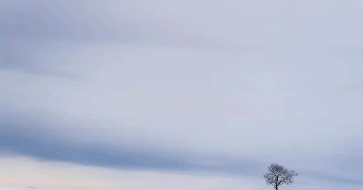 Pastel Classic Ruj 62: Doğal ve Şık Görünüm İçin Kaliteli Dudak Bakım Ürünü