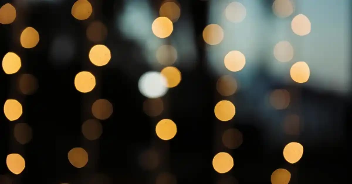 Phyto Phanere ile Doğal ve Güçlü Kirpik Bakımı İçin Bilmeniz Gerekenler