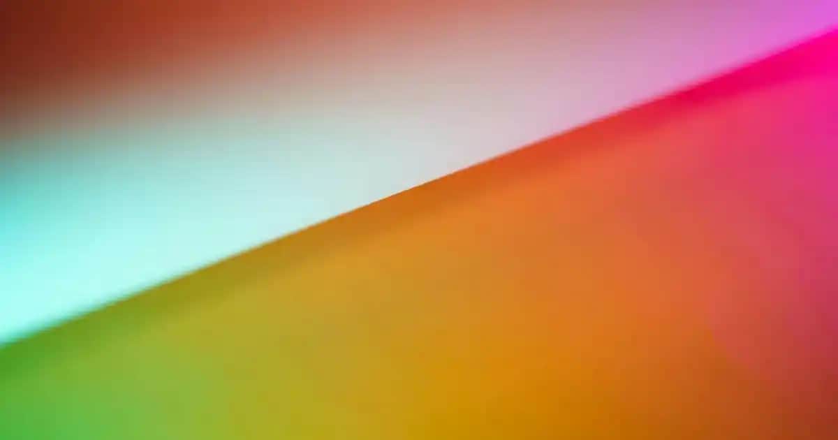 Profesyonel Saç Kesim Makinesi Seçerken Dikkat Edilmesi Gerekenler ve En İyi Modeller