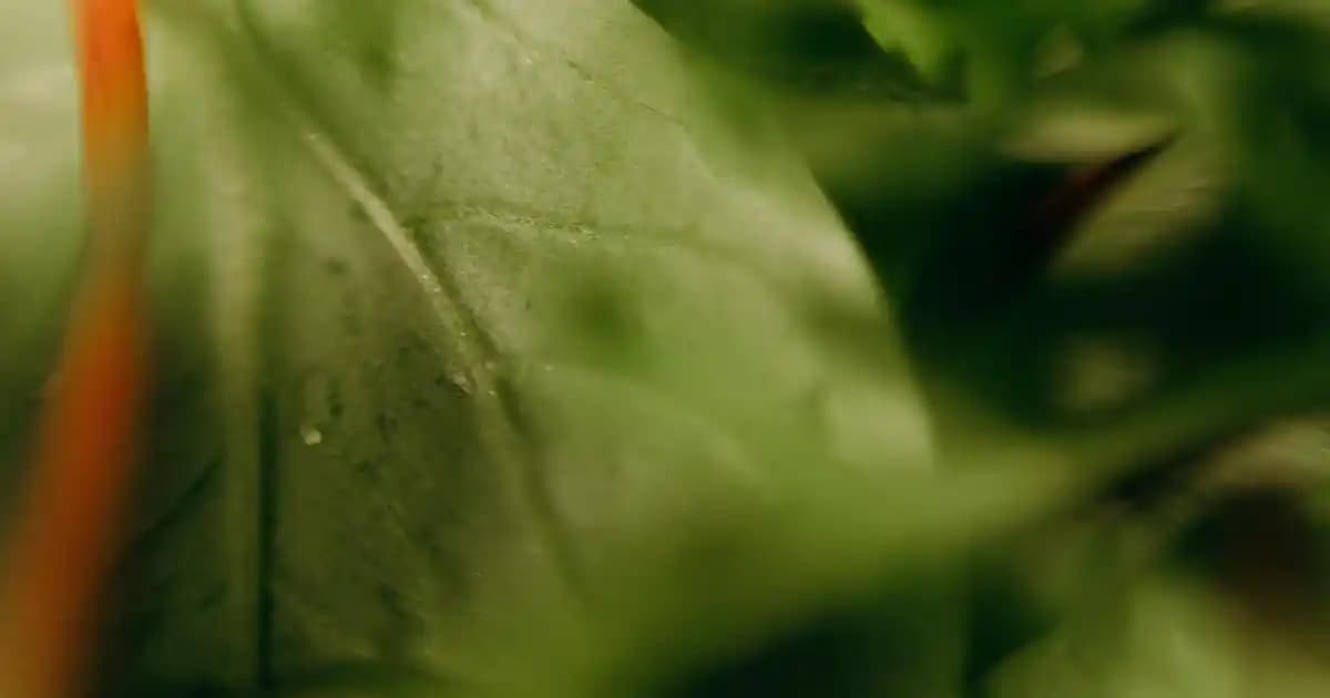 Retinol Kullanımı ve Cilt Sağlığı İçin Temel Bilgiler ve Uygulama Rehberi