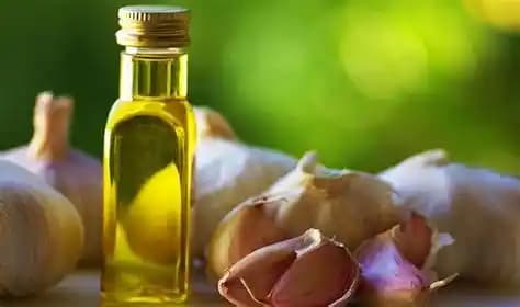 Saç Bakımında Kullanılan Doğal Malzemeler ve Sağlıklı Saçlar İçin Rehber