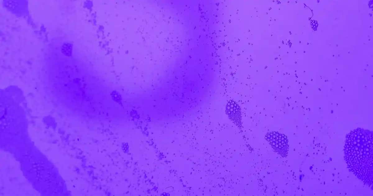 Saç Bukle Maşası Seçimi ve Kullanımı İçin Kapsamlı Rehberlik İpuçları ve Bakım Önerileri