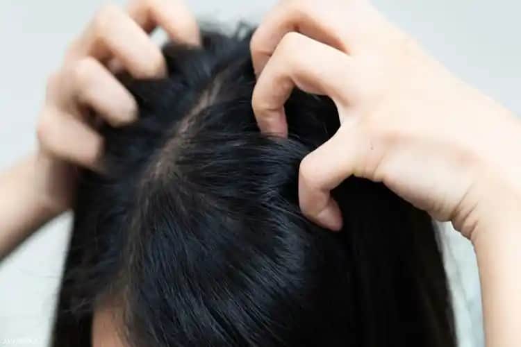 Saç Diplerini Güçlendiren ve Sağlıklı Tutmanın Etkili Yolları