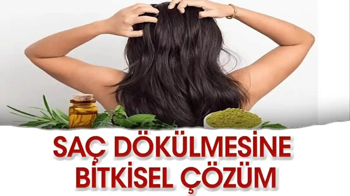 Saç Dökülmesine Karşı Doğal ve Bitkisel Çözüm Yöntemleri