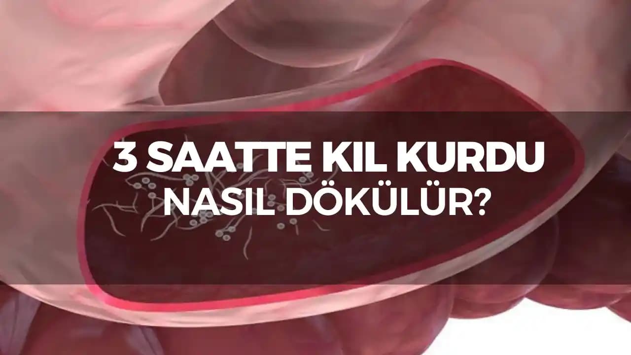 Saç Dökülmesini Önleme ve Sağlıklı Saçlar İçin Bilmeniz Gerekenler