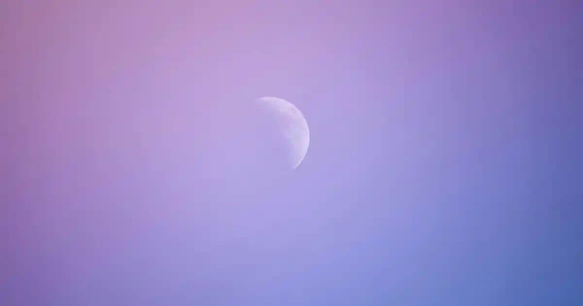 Saçı Canlandıran Şampuanlar: Sağlıklı ve Parlak Saçlar İçin En İyi Seçenekler