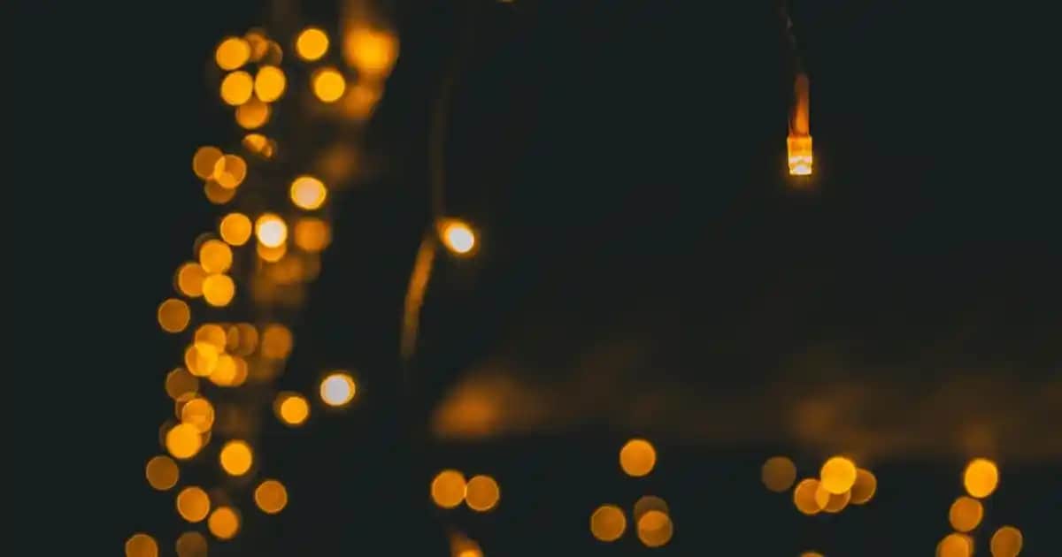 Şarap Kızıl Saç Rengi: Bakımı, Elde Edilmesi ve Stil İpuçları