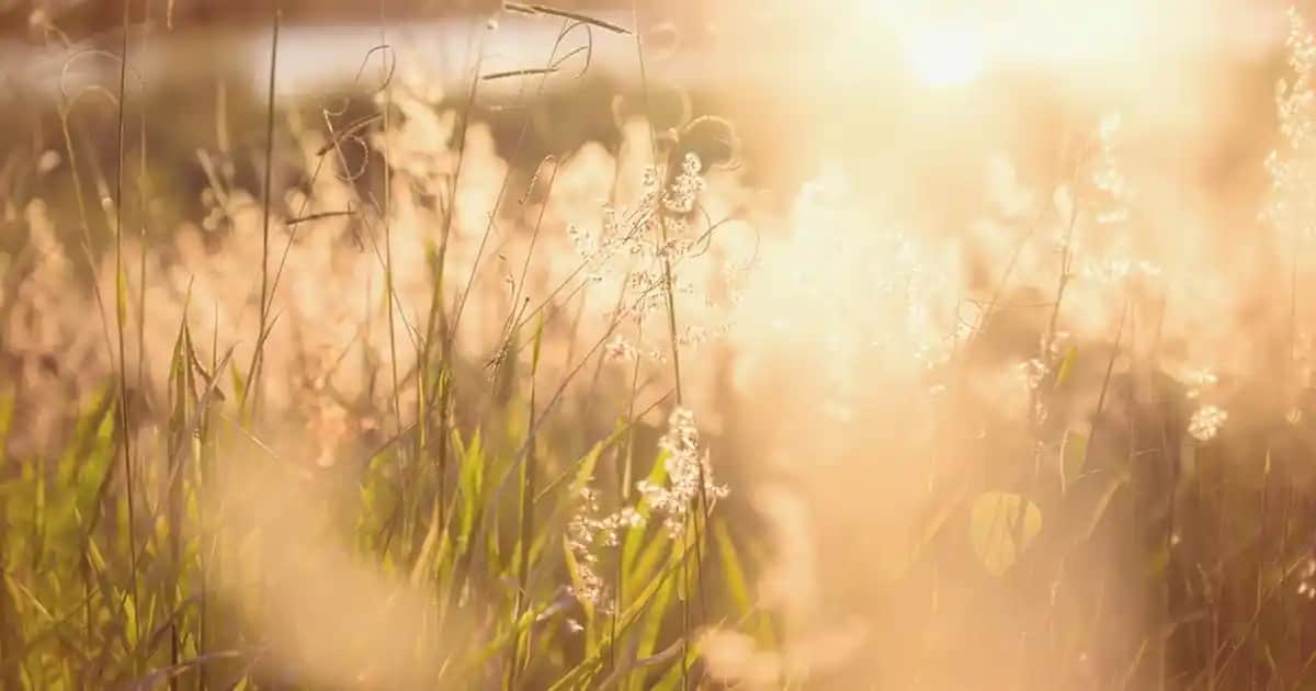 Sivilce Deliklerine Karşı Etkili Kremler ve Cilt Yenileme Yöntemleri