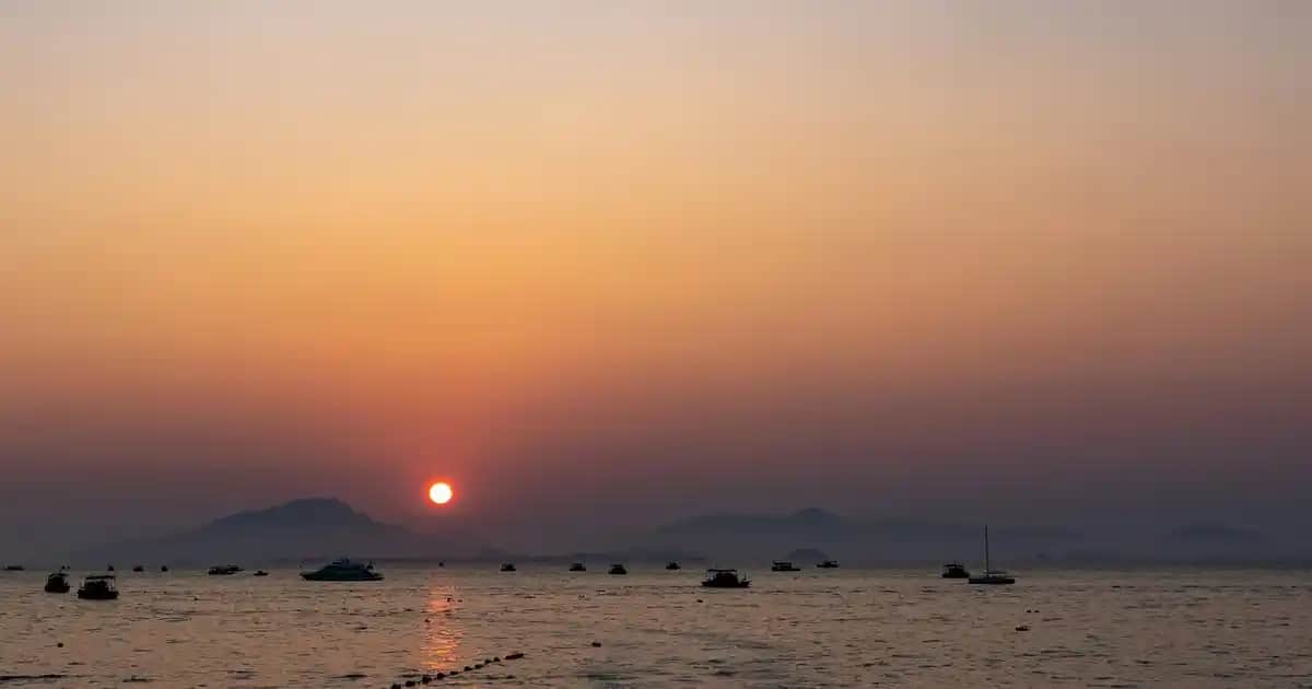 Solgar Kolajen Tip 1 ve Tip 3: Cilt Güzelliği ve Sağlığı İçin Güçlü Bir Takviye Seçeneği