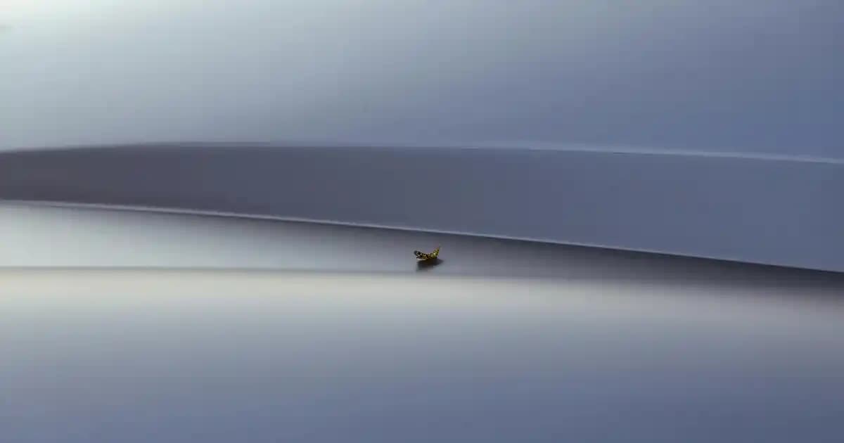 Traş Kremi Kullanımı ve Seçimi: Pürüzsüz ve Sağlıklı Bir Cilt İçin Rehber