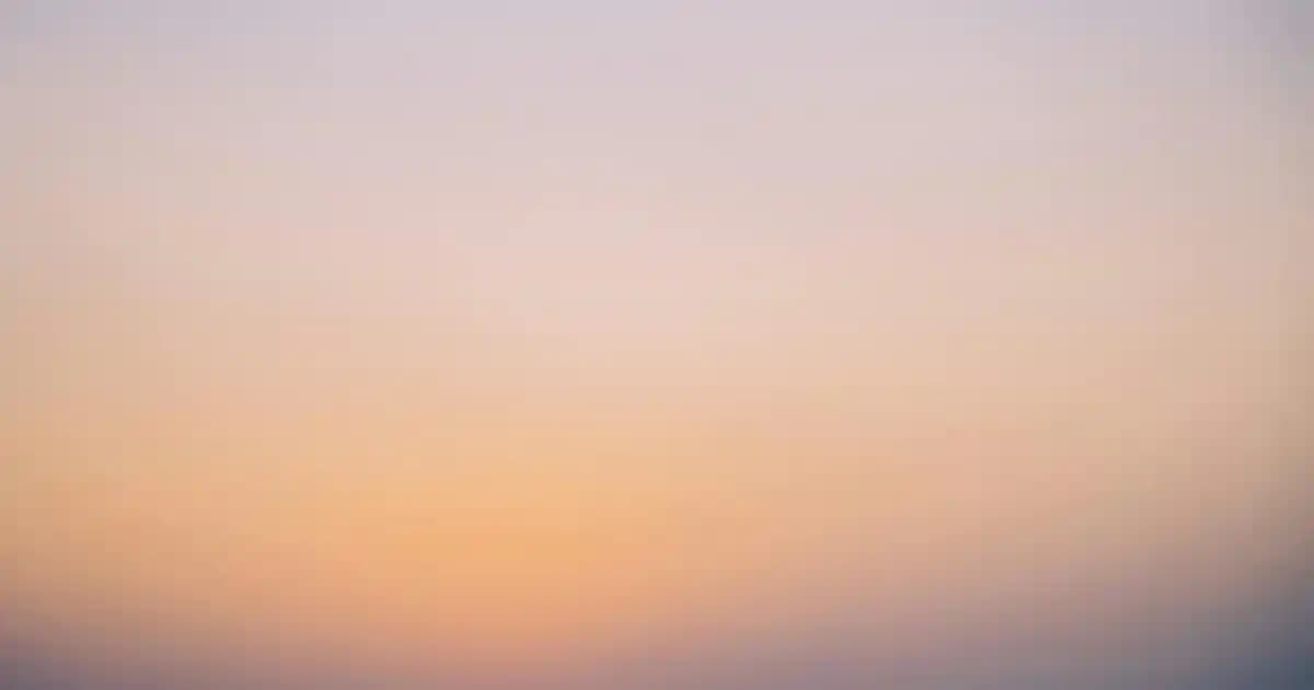 Varis Çorabı Markaları ve Seçim Rehberi: Sağlık ve Estetik İçin En İyi Alternatifler