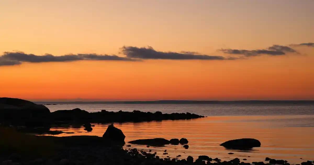 Velavit V-Biotin Plus ile Güçlü Saçlar ve Sağlıklı Tırnaklar İçin Doğru Takviye Seçeneği