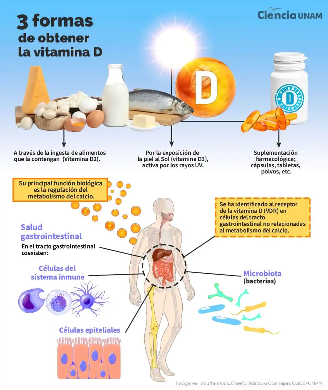 Vitamin D’nin Kozmetik ve Güzellik Üzerindeki Rolü Cilt Sağlığı ve Güzellik Rutinleri