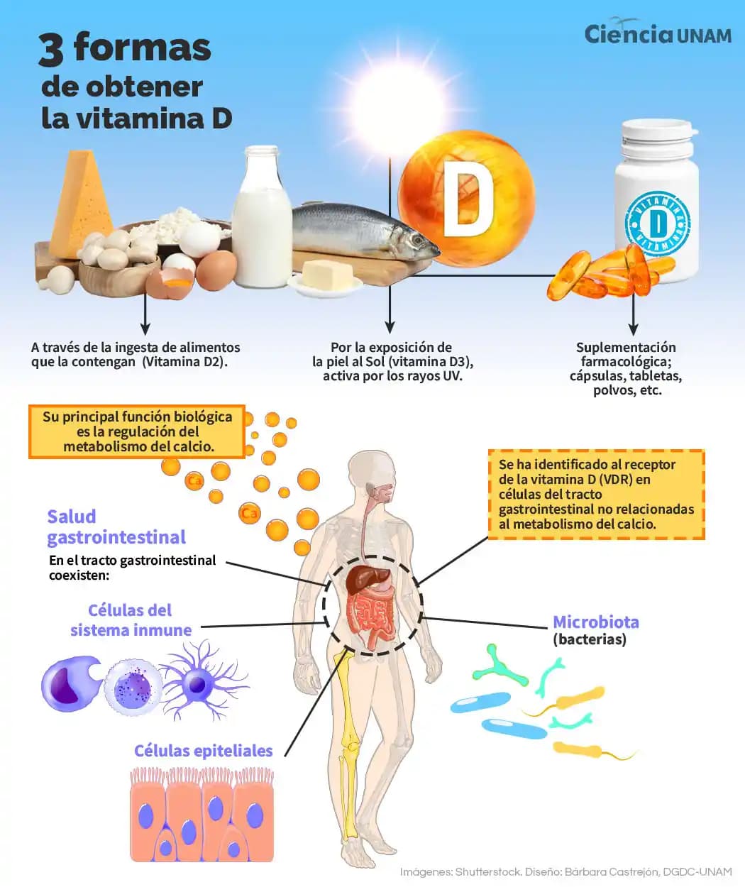 Vitamin D’nin Kozmetik ve Güzellik Üzerindeki Rolü Cilt Sağlığı ve Güzellik Rutinleri