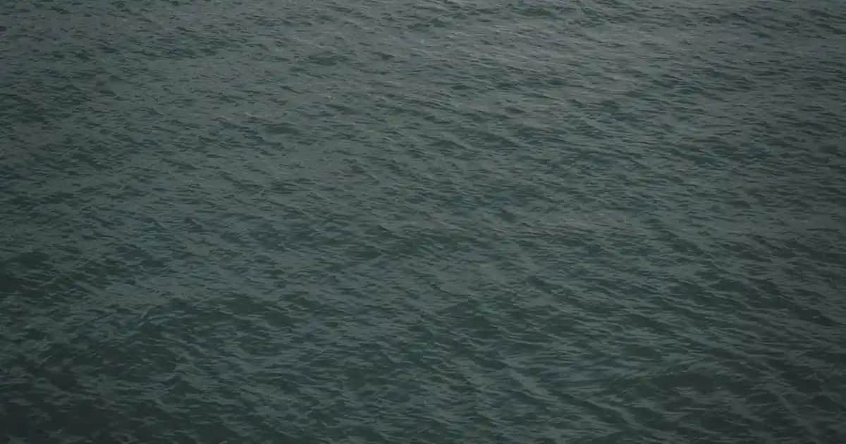 Viva Collagen ile Güzellik ve Sağlığı Destekleyen Etkili Kolajen Takviyesi