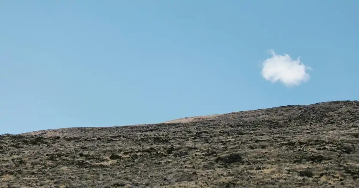 Yüksek Performanslı Güneş Koruyucu Seçenekleri ve Kullanım İpuçları