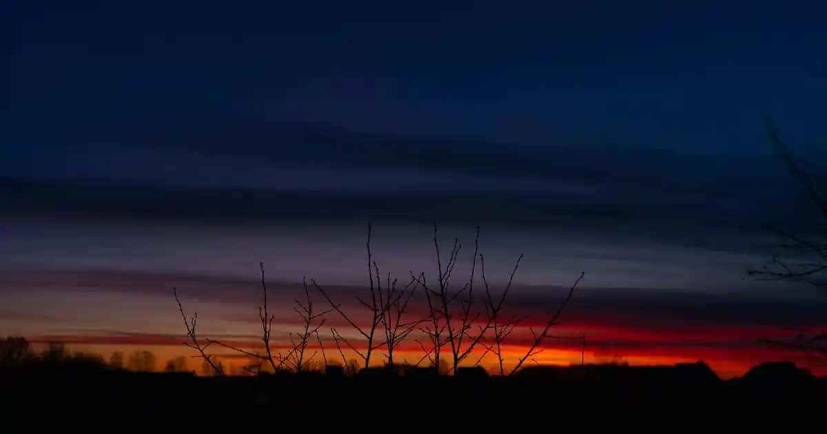 Zade Vital Hindistan Cevizi Yağı: Doğal Kozmetik ve Kişisel Bakımda Çok Yönlü Kullanım